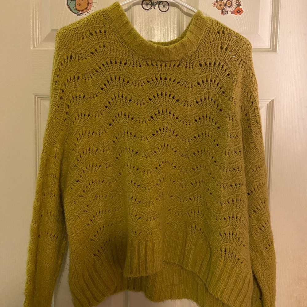 Chunky American eagle sweater